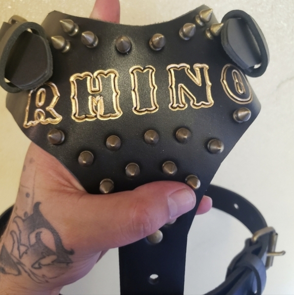 Custom dog harness